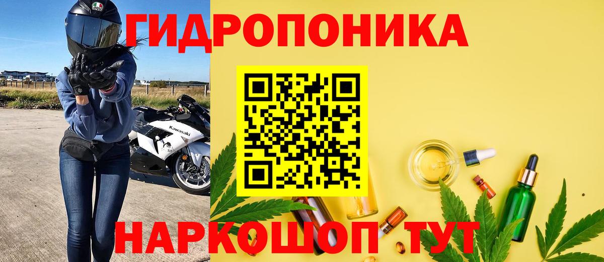 Бошки Шишки индика  Конопля конопля  МАРИХУАНА MAZAR  Советский  Вход с VPN 